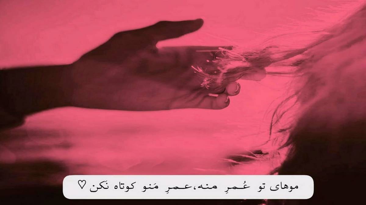 بوزولدو گونلومون اوزوم باغلاری باغلاری